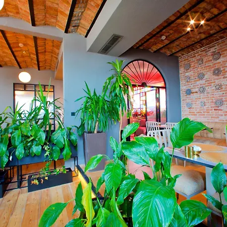 Ayramin Exclusive - Special Category 3*