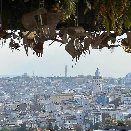 Ayramin Exclusive - Special Category *