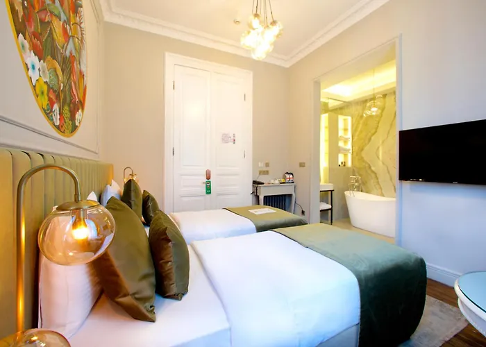 Ayramin Exclusive - Special Category